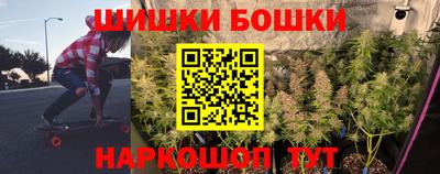 тгк Гай