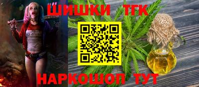 тгк Гай