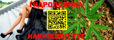 тгк Гай