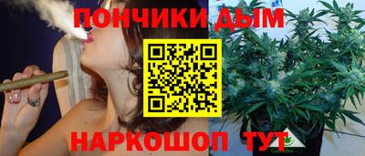 тгк Гай
