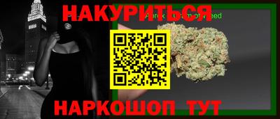 тгк Гай