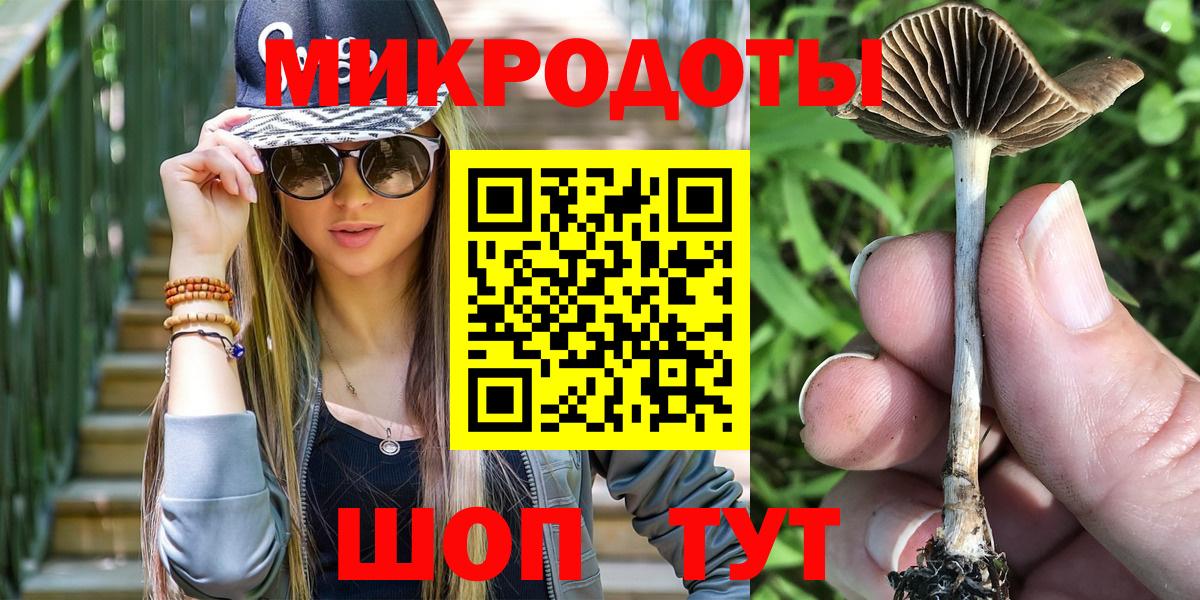 Псилоцибиновые грибы мицелий Гуково