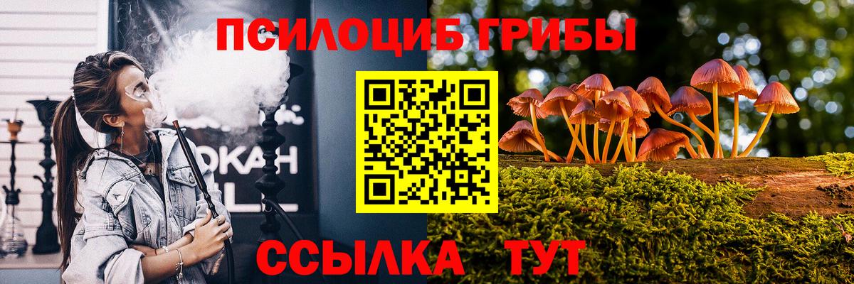 хочу   Вход с VPN  Псилоцибиновые грибы Psilocybe  Гуково  Галлюциногенные грибы ЛСД 